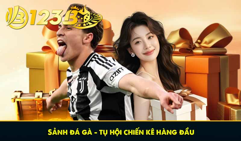Sảnh đá gà – tụ hội chiến kê hàng đầu