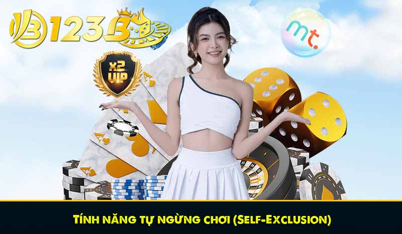 Tính năng tự ngừng chơi